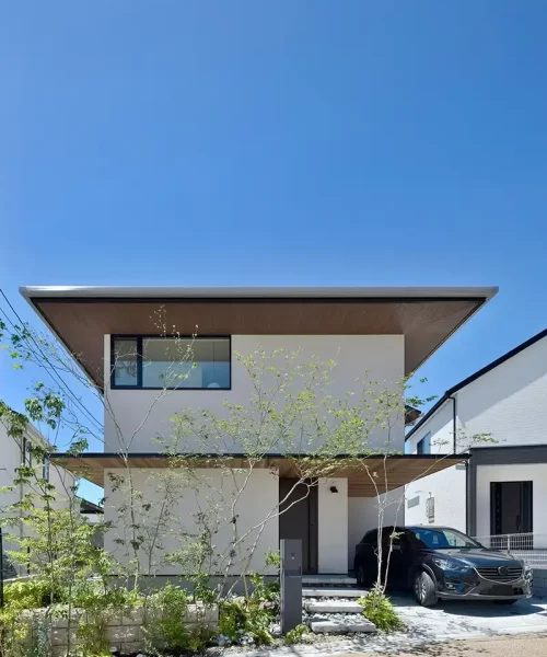 exterior-800